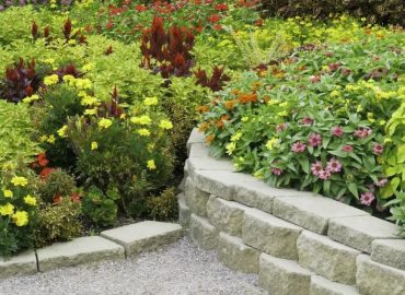 Garden Services in Ibiza