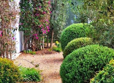 Garden Services in Ibiza