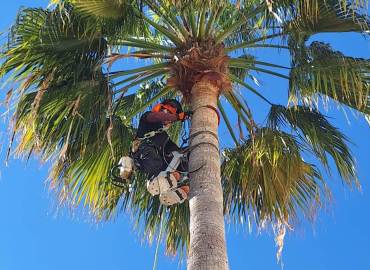 Garden Services in Ibiza