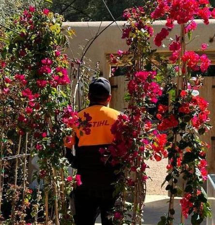 Garden Services in Ibiza