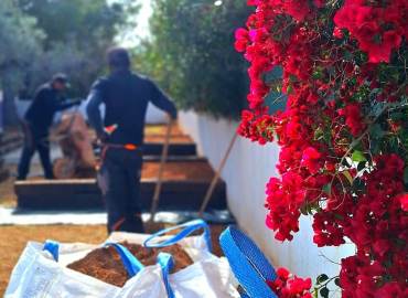 Garden Services in Ibiza