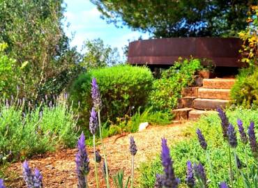 Garden Services in Ibiza