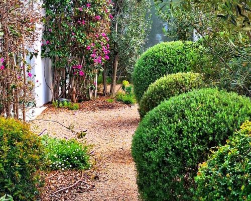 Garden Services in Ibiza