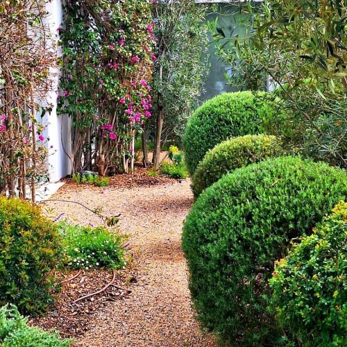 Garden Services in Ibiza