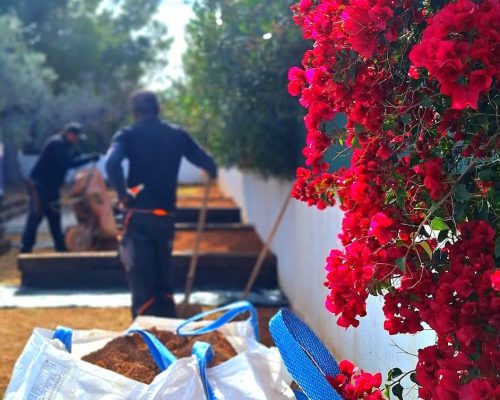 construccion de jardin (2)
