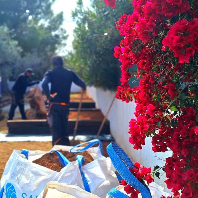 construccion de jardin (2)